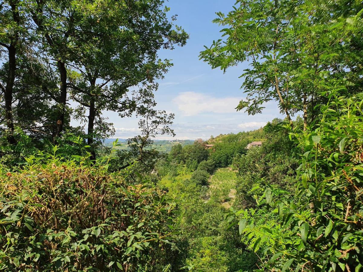 Lerma Agriturismo Il Burlino Apartments المظهر الخارجي الصورة