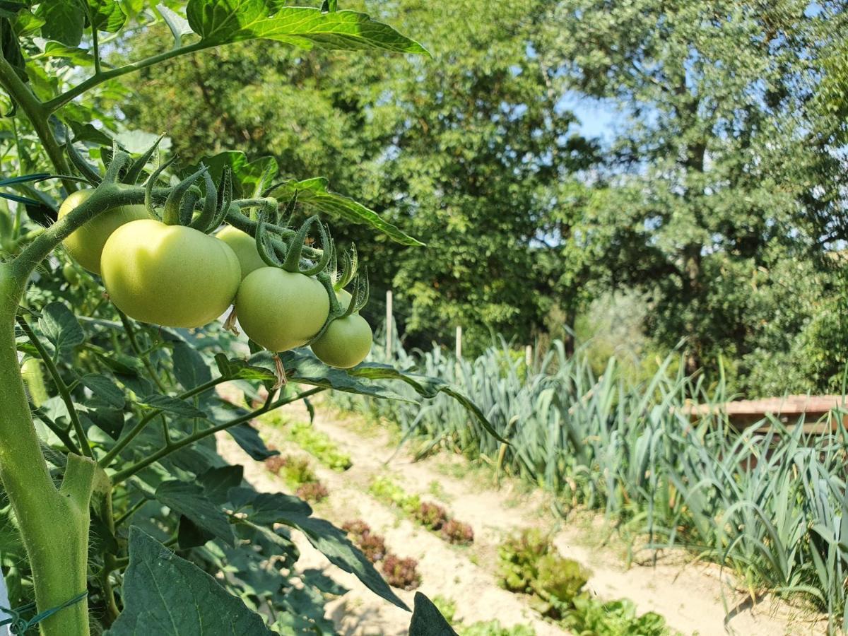 Lerma Agriturismo Il Burlino Apartments المظهر الخارجي الصورة