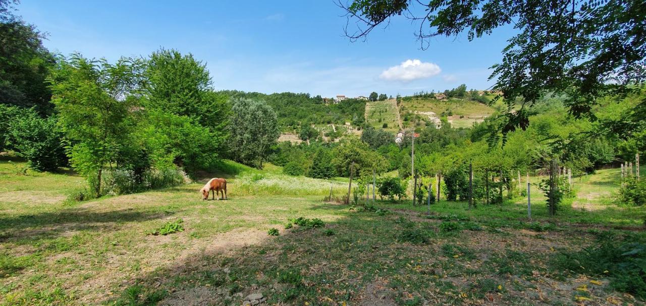 Lerma Agriturismo Il Burlino Apartments المظهر الخارجي الصورة