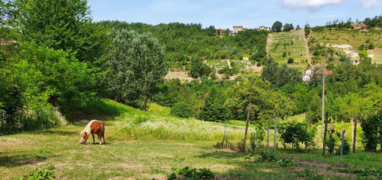 Lerma Agriturismo Il Burlino Apartments المظهر الخارجي الصورة