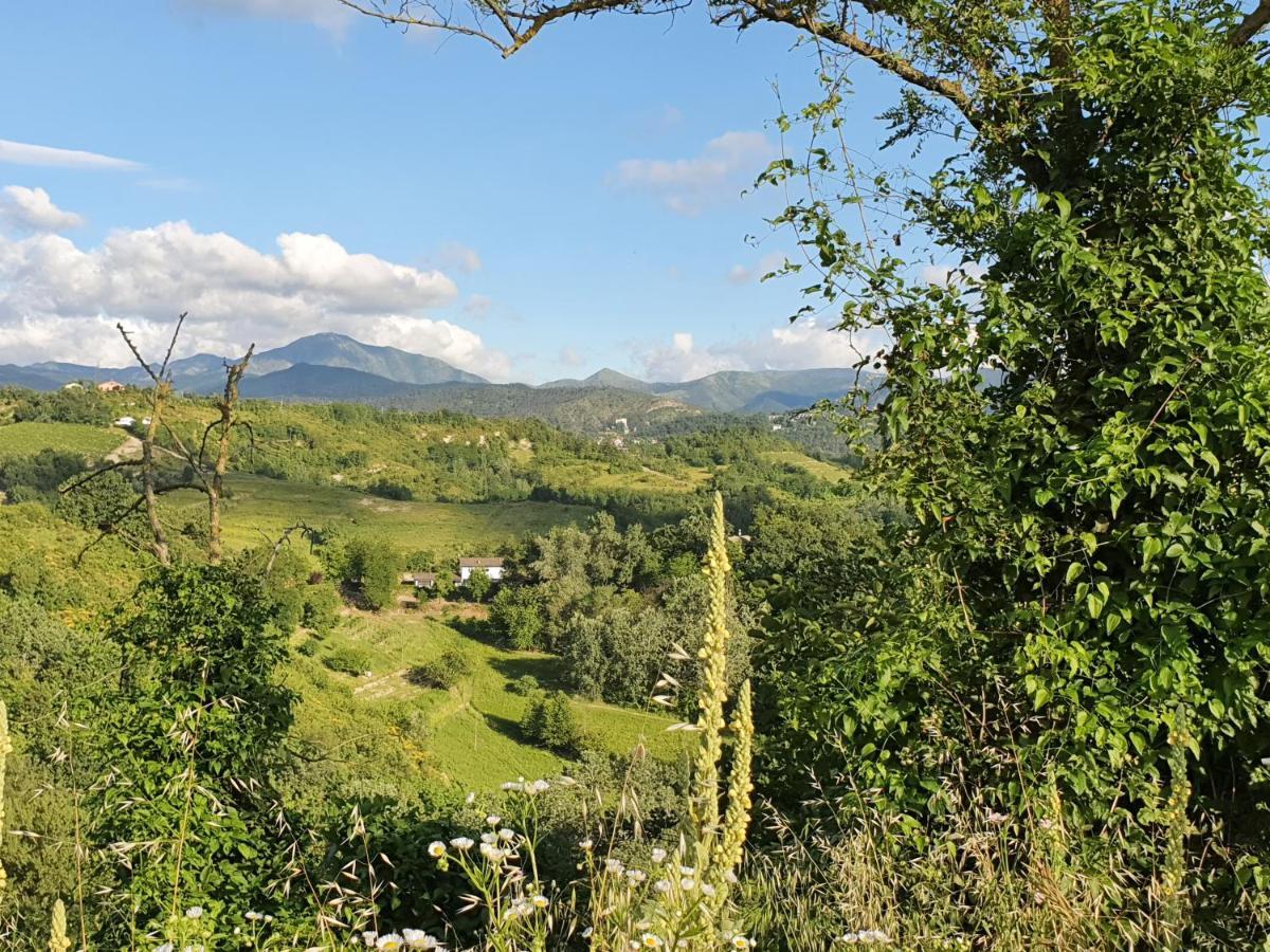 Lerma Agriturismo Il Burlino Apartments المظهر الخارجي الصورة